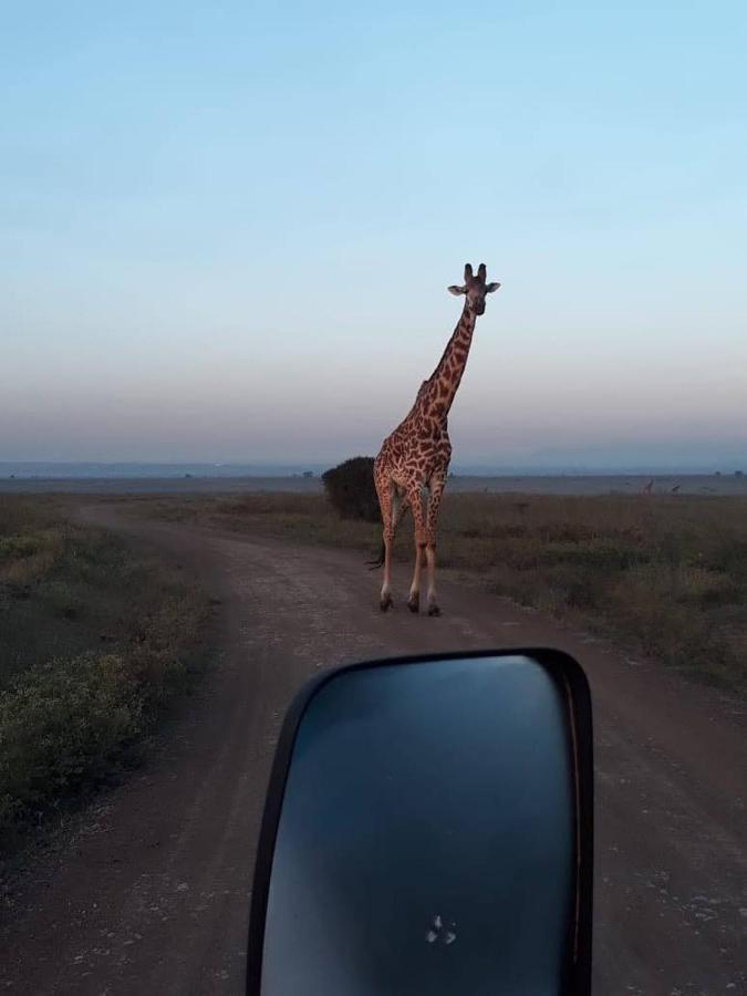 Royalty Homes -Jkia Nairobi Eksteriør billede